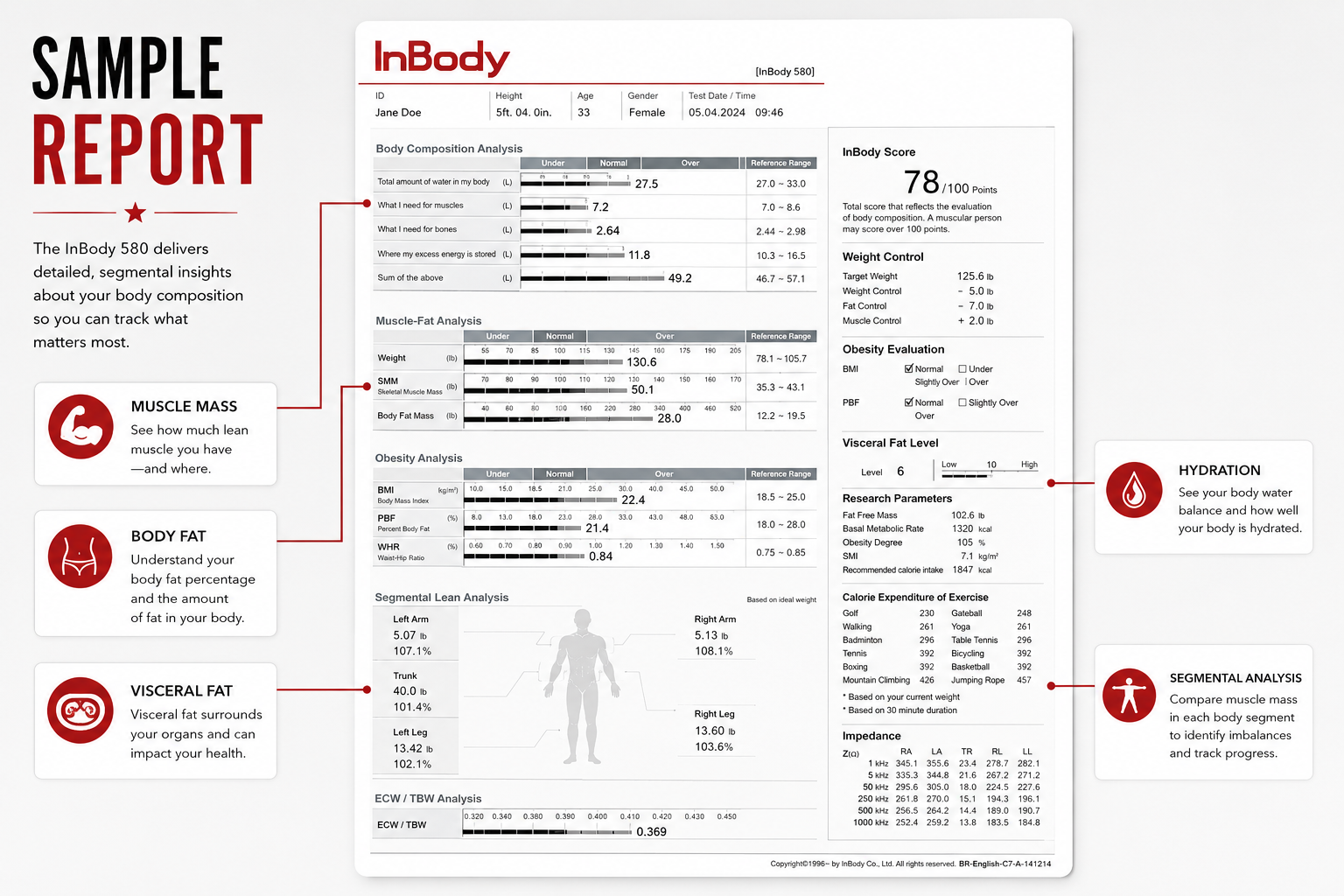 InBody 580 sample body composition report displaying metrics like muscle mass, body fat, hydration, and segmental analysis with labeled diagram and explanations—ideal for tracking progress during injury rehabilitation in Frisco.