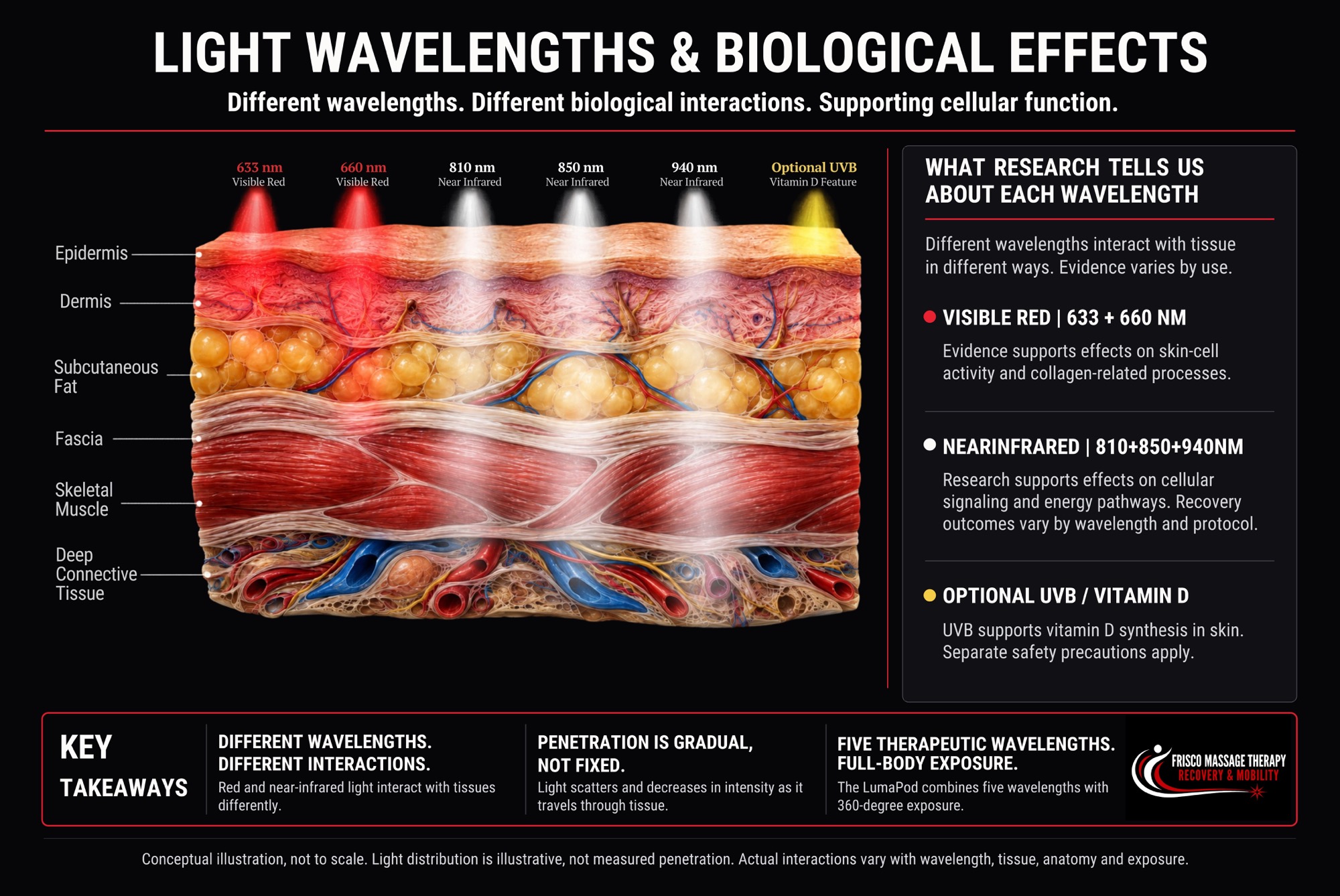 LumaPod Pro G2 wavelength guide: 633 and 660 nm visible red, 810, 850 and 940 nm near-infrared, and optional UVB. Tissue illustration is conceptual, not measured penetration.